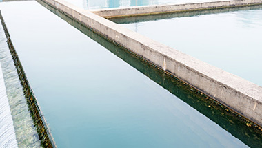 如何評判黑臭水體治理技術好壞？