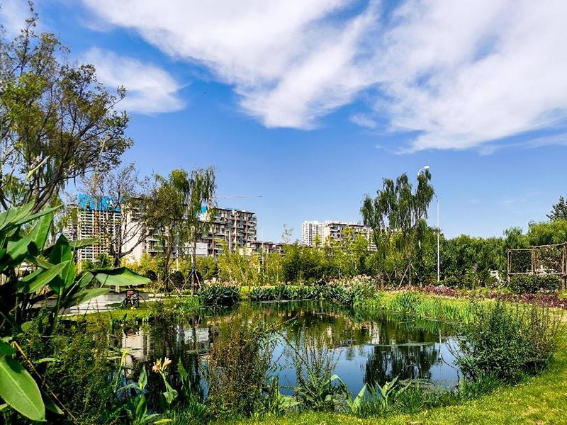 【經(jīng)典案例】日照市瀉湖入湖口人工濕地水質(zhì)凈化項(xiàng)目（大型湖泊內(nèi)源污染治理和水質(zhì)提升的先導(dǎo)和示范）